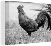 Tableau sur toile Coq dans l'herbe - noir et blanc - 40x30 cm - Décoration murale