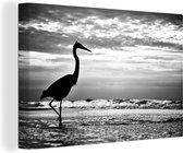 Canvas schilderij 140x90 cm - Wanddecoratie Een foto van een kraanvogel op het strand - zwart wit - Muurdecoratie woonkamer - Slaapkamer decoratie - Kamer accessoires - Schilderijen