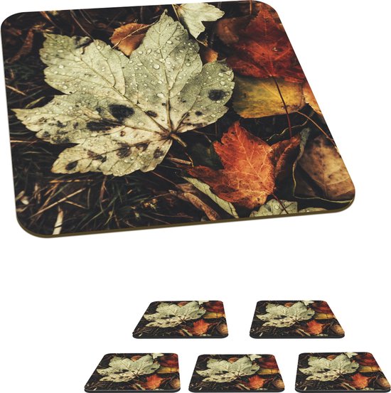 Canvas Kleurrijke herfst bladeren vallen geïsoleerd op wit