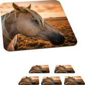 Onderzetters voor glazen - Paard - Dieren - Portret - 10x10 cm - Glasonderzetters - 6 stuks