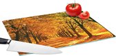 Glazen Snijplank - 39x28 - Bos - Herfst - Seizoenen - Landelijk - Snijplanken Glas