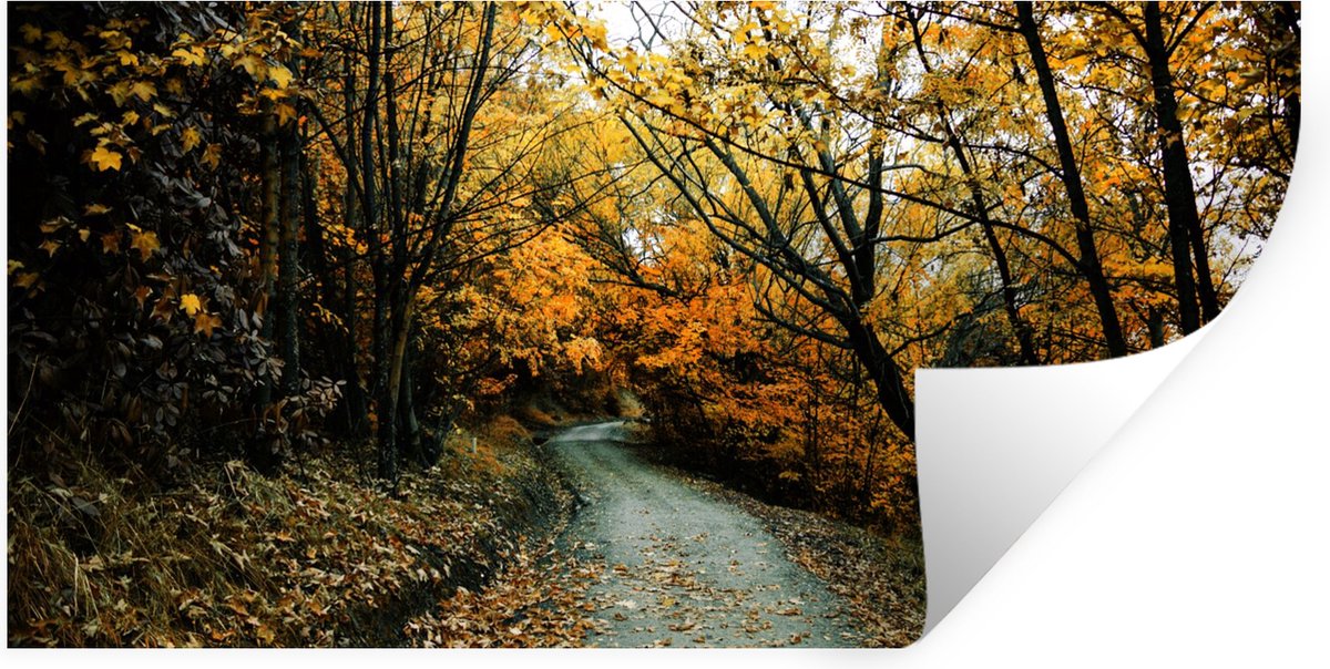 Muurstickers - Sticker Folie - Bladeren - Herfst - Bos - 160x80 cm - Plakfolie - Muurstick