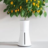 Jardinière Botanium - Pot de fleurs à arrosage automatique - Hydroponique - Pot à herbes - Wit