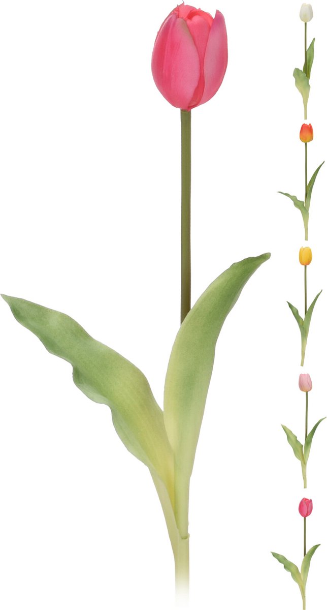Tulp mini 40cm 5ass klNampook