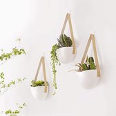 Plantenhanger Keramiek – Set van 3 – Wit Steen- Hangpot – Hangende Bloempot Plantenpot - 3 verschillende Koorden - 12 x 11 x 9.5