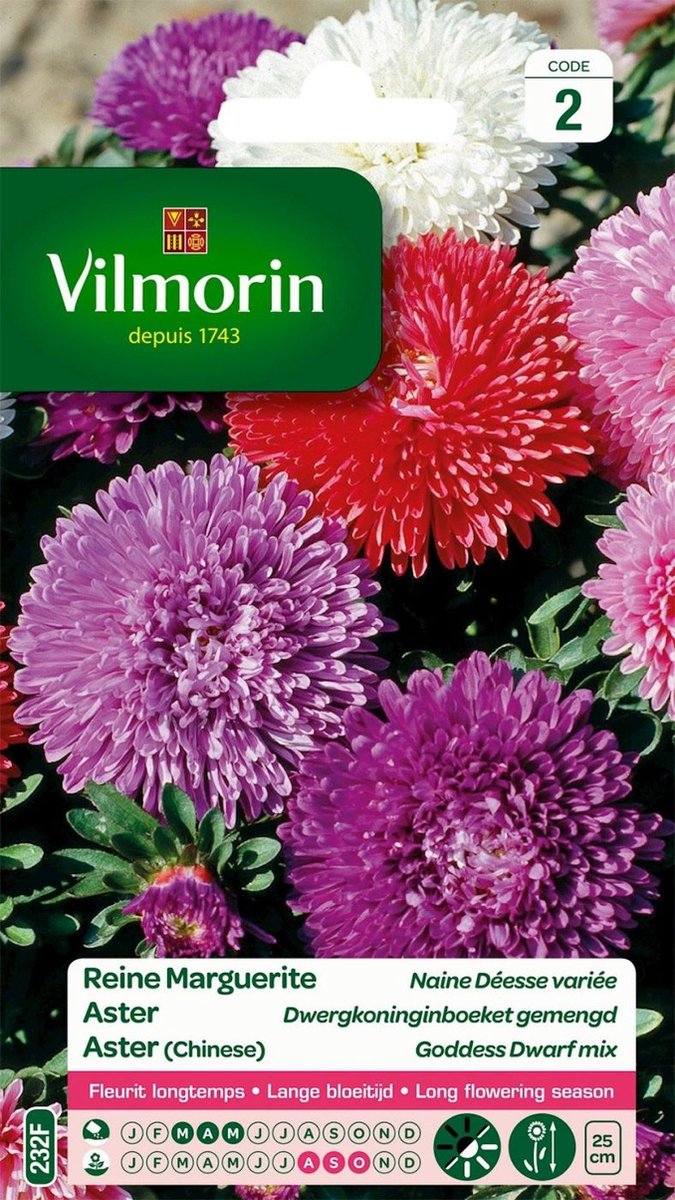 Vilmorin - Aster - Dwergkoninginboeket gemengd - V232