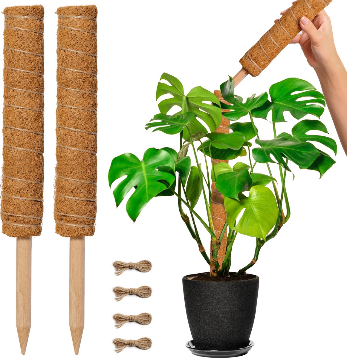 Poteau de mousse en plastique de jardin pour les plantes Monstera