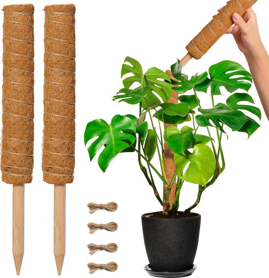 Bâton de Mousse pour Plantes - Extensible jusqu'à 80cm - Bâton de Plante - Perfect pour Monstera, Pothos et Plus - 2x50 cm - Corde de Jute Incluse