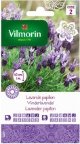 Vilmorin - Vlinderlavendel - V441