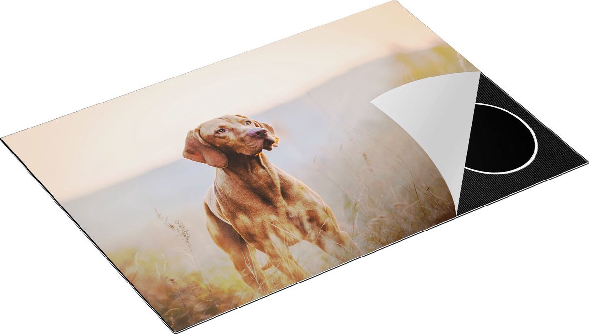 Chefcare Inductie Beschermer Hongaarse Vizsla Hond in het Gras - 77x51 cm - Afdekplaat Inductie - Kookplaat Beschermer - Inductie Mat