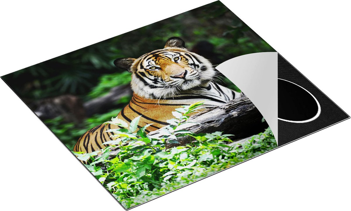 Chefcare Inductie Beschermer Tijger in het Bos - 59x51 cm - Afdekplaat Inductie - Kookplaat Beschermer - Inductie Mat