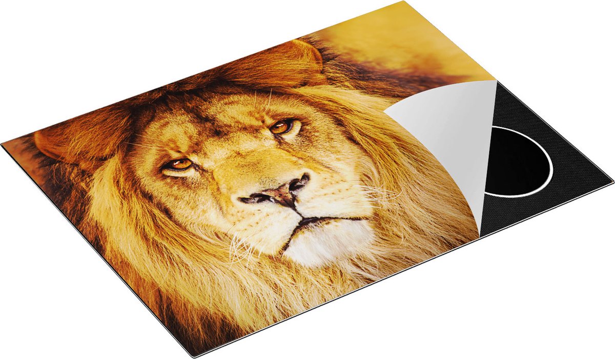 Chefcare Inductie Beschermer Leeuw - Leeuwenkop - 71x52 cm - Afdekplaat Inductie - Kookplaat Beschermer - Inductie Mat