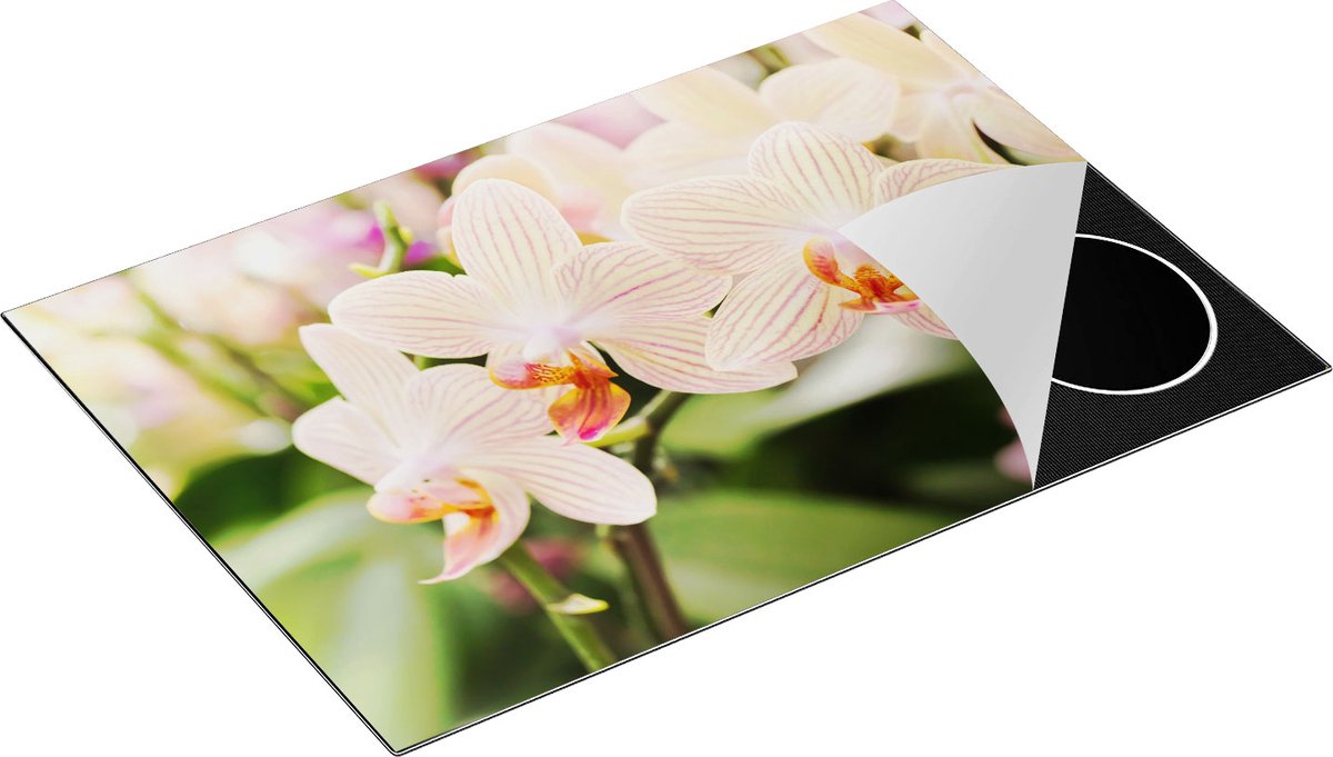 Chefcare Inductie Beschermer Gestreepte Witte Orchidee Bloemen - 75x50 cm - Afdekplaat Inductie - Kookplaat Beschermer - Inductie Mat