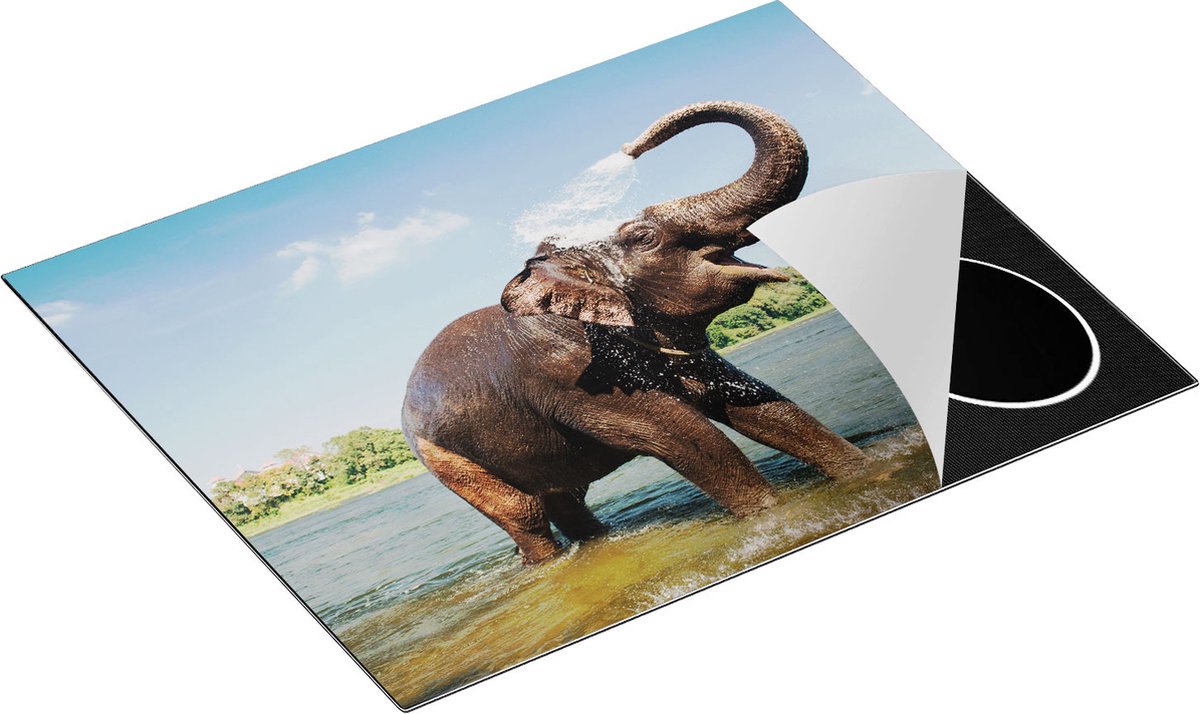 Chefcare Inductie Beschermer Vrolijke Olifant in het Water - 65x50 cm - Afdekplaat Inductie - Kookplaat Beschermer - Inductie Mat