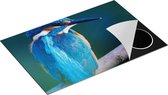 Chefcare Inductie Beschermer Blauwe IJsvogel op een Tak - 80,2x52,2 cm - Afdekplaat Inductie - Kookplaat Beschermer - Inductie Mat