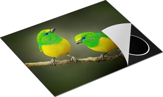 Chefcare Inductie Beschermer Twee Groen Gele Zangvogels op een Tak - 65x52 cm - Afdekplaat Inductie - Kookplaat Beschermer - Inductie Mat