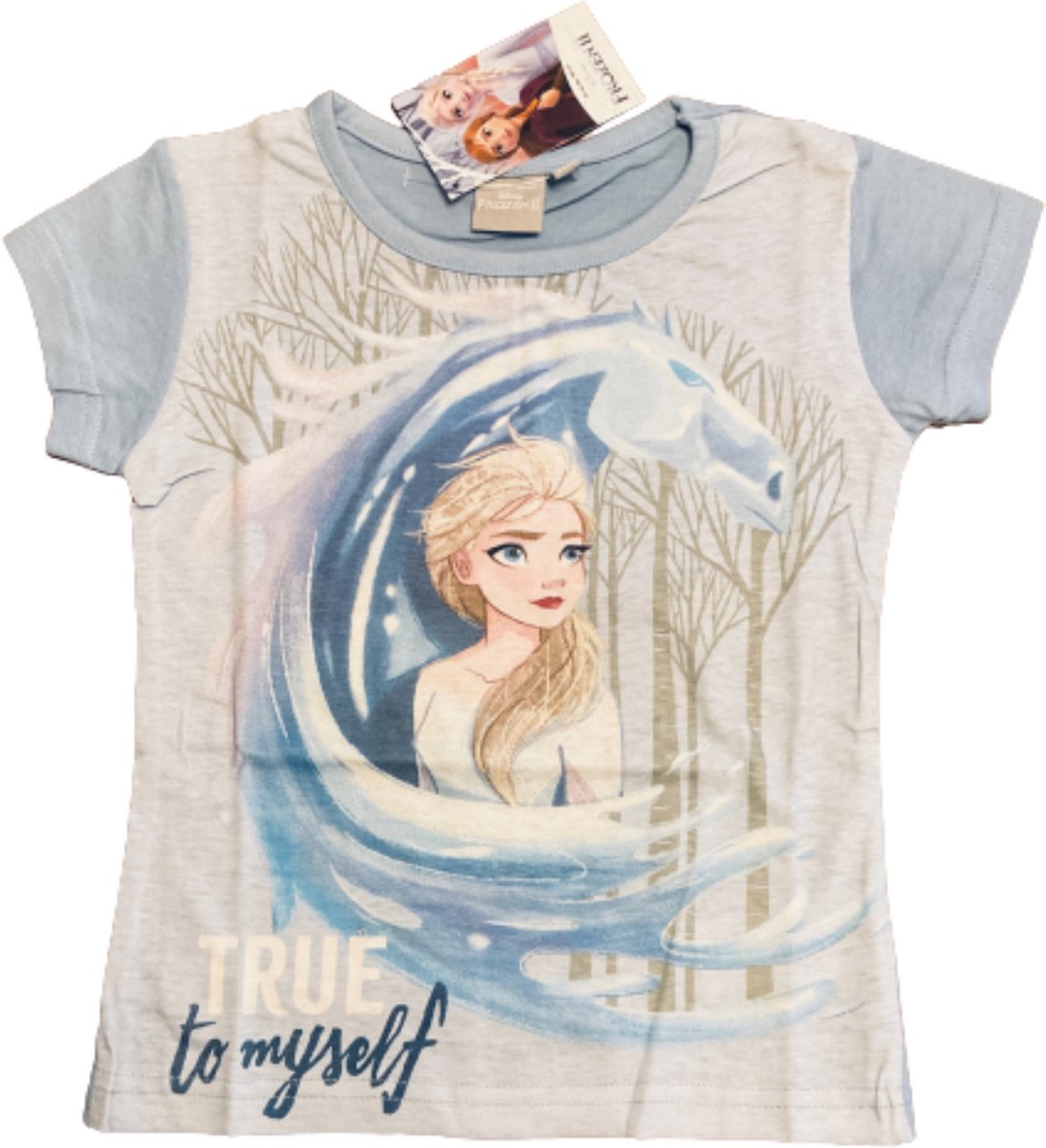 Disney Frozen II T-shirt - True to myself - Blauw - Maat 110