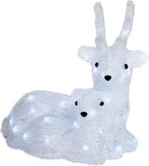 Figurines d'éclairage de Éclairage de Noël LED pour renne d'extérieur 34 x 25 x 34 cm avec 40 lumières blanc brillant - Animaux illuminés - renne