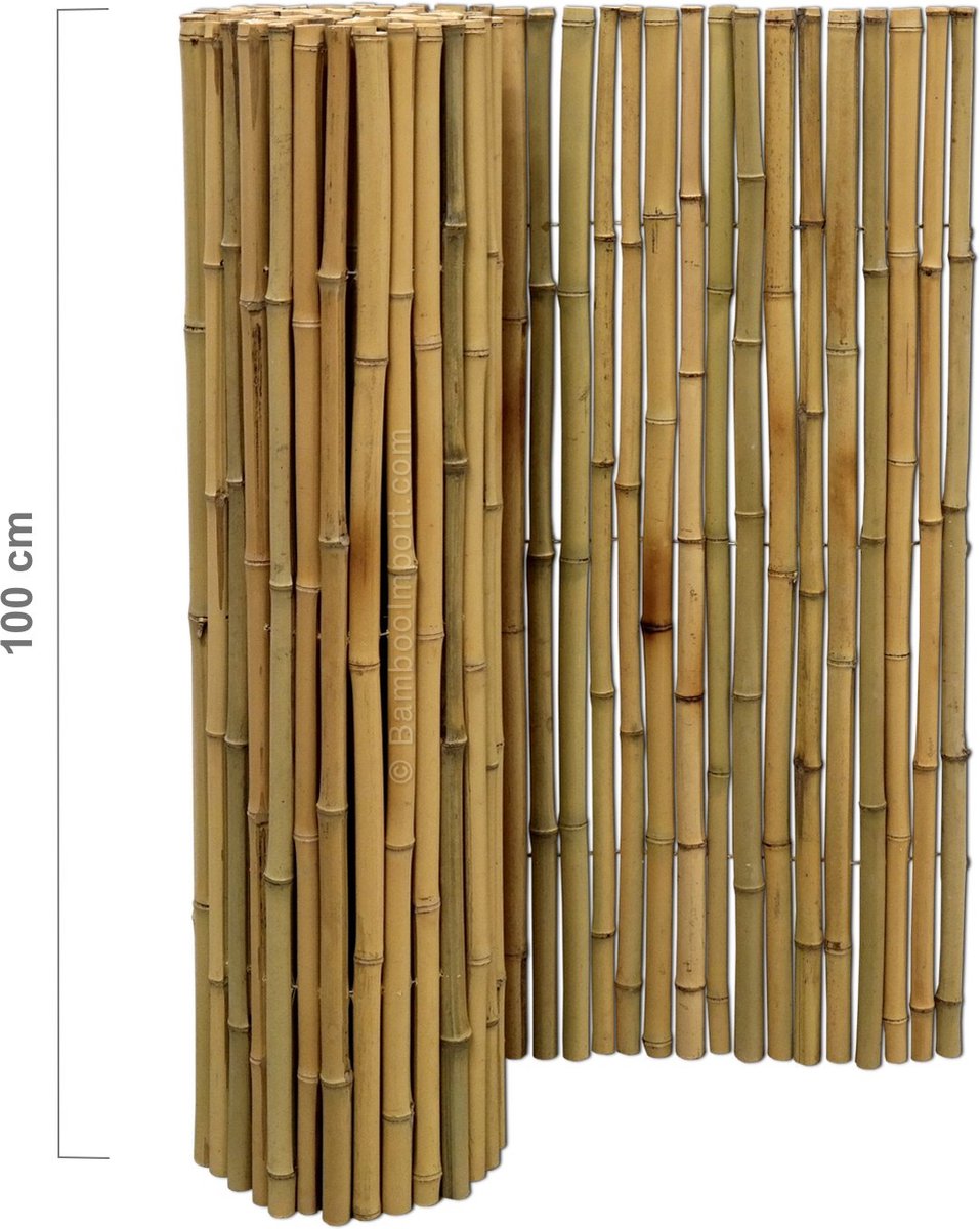 Bamboo Import Europe Bamboemat Regular Naturel 180 x 100 cm