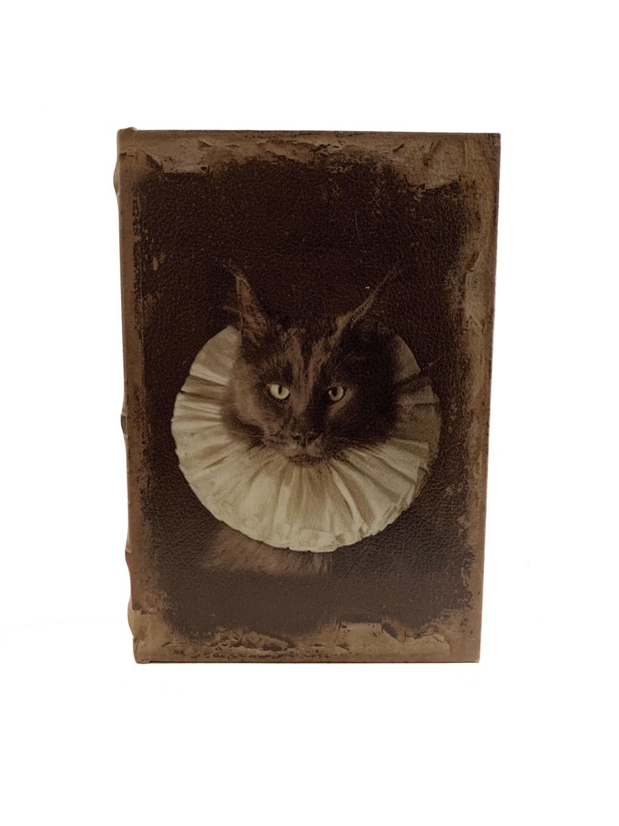ShineHoly - Bewaardoos - Bewaarkistje - Aangeklede kat - Woondecoratie