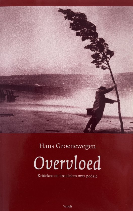 Cover van het boek 'Overvloed / druk 1' van H. Groenewegen