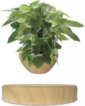 Bengelen Lach stoomboot Zwevende plantenpot - zwevende mini bonsai - luxe design - bloempot-  zwevende... | bol.com