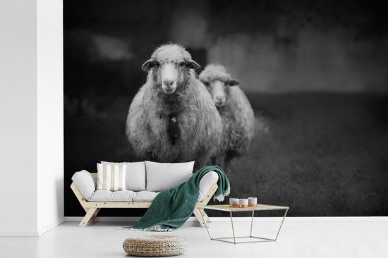 Papier peint photo peint vinyle - Mouton avec cloche largeur 600 cm x hauteur 400 cm - Tirage photo sur papier peint (disponible en 7 tailles)