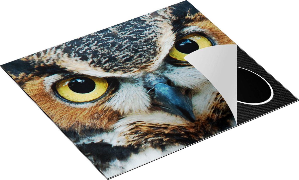 Chefcare Inductie Beschermer Uil Kop met Gouden Ogen - 57,6x51,6 cm - Afdekplaat Inductie - Kookplaat Beschermer - Inductie Mat