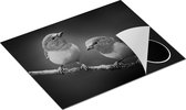 Chefcare Inductie Beschermer Twee Groen Gele Zangvogels op een Tak - Zwart Wit - 65x52 cm - Afdekplaat Inductie - Kookplaat Beschermer - Inductie Mat