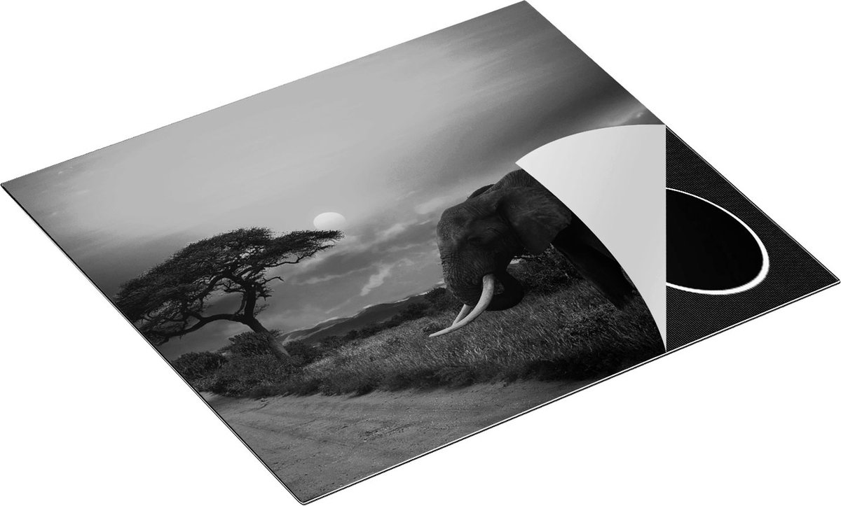 Chefcare Inductie Beschermer Olifant in het Wild tijdens Zonsondergang - Zwart Wit - 60x55 cm - Afdekplaat Inductie - Kookplaat Beschermer - Inductie Mat