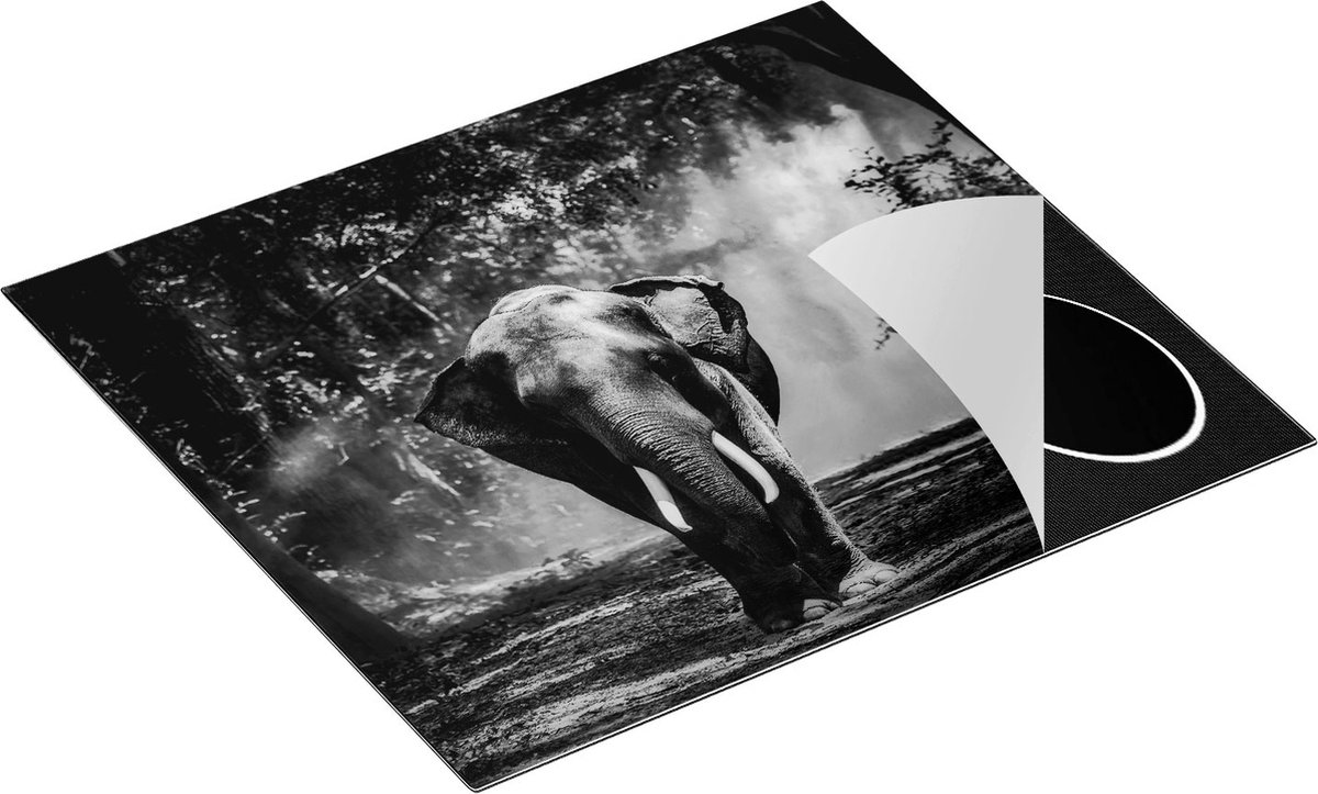 Chefcare Inductie Beschermer Olifant in het Bos - Zwart Wit - 60x55 cm - Afdekplaat Inductie - Kookplaat Beschermer - Inductie Mat