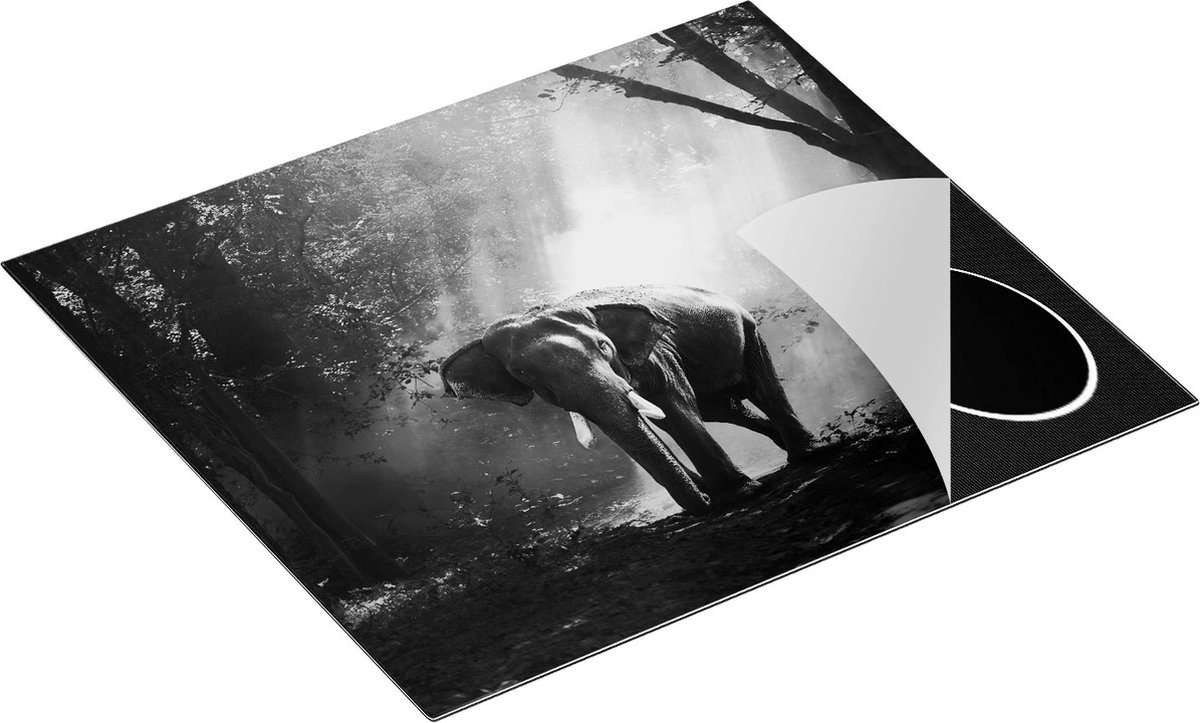 Chefcare Inductie Beschermer Olifant in het Bos met Zonneschijn - Zwart Wit - 60x50 cm - Afdekplaat Inductie - Kookplaat Beschermer - Inductie Mat