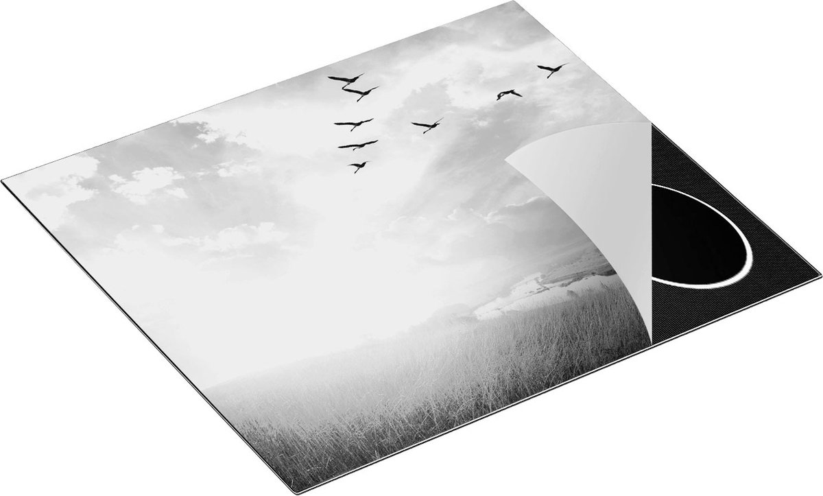 Chefcare Inductie Beschermer Groep Vogels Vliegen Boven het Gras - Zwart Wit - 60x50 cm - Afdekplaat Inductie - Kookplaat Beschermer - Inductie Mat