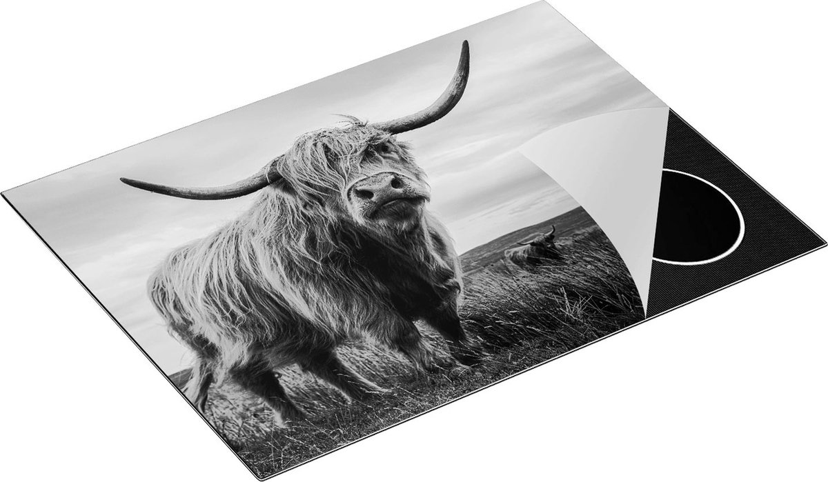 Chefcare Inductie Beschermer Schotse Hooglander Koeien in de Wei - Zwart Wit - 70x55 cm - Afdekplaat Inductie - Kookplaat Beschermer - Inductie Mat