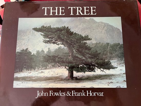 Boekomslag van "THE TREE" met een eenzame, warrige dennenboom in een mistig, bergachtig landschap. John Fowles & Frank Horvat.