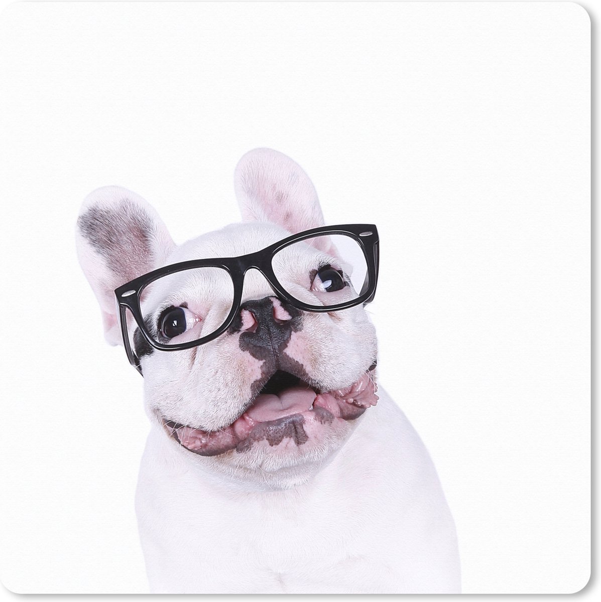 Muismat XXL 50x50 cm - Bureau onderlegger - Bureau mat Hond - Bril - Hipster - Bureaumat - Gaming mousepad xl - Bureaulegger groot - Computer deskmat