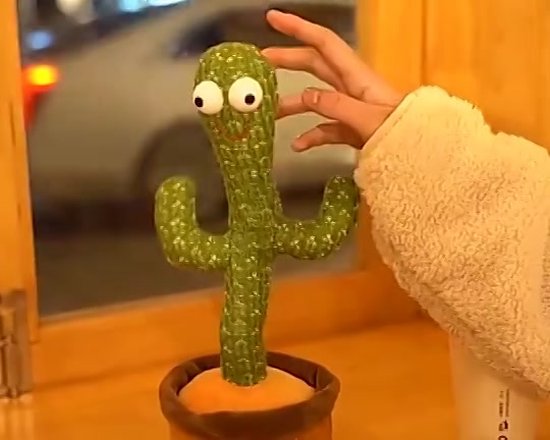 Dansende cactus - Dancing cactus - Cactus speelgoed - Pratende cactus -  Napraat cactus... | bol.com