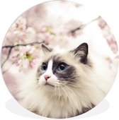 WallCircle - Wandcirkel ⌀ 90 - Sakura - Kat - Kleuren - Ronde schilderijen woonkamer - Wandbord rond - Muurdecoratie cirkel - Kamer decoratie binnen - Wanddecoratie muurcirkel - Woonaccessoires