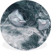 Ours polaires dans la feuille de plastique de cercle de mur de la mer