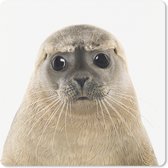 Muismat - Mousepad - Jongens - Zeehond - Grote ogen - Kinderen - Jongens - Meisjes - 30x30 cm - Muismatten