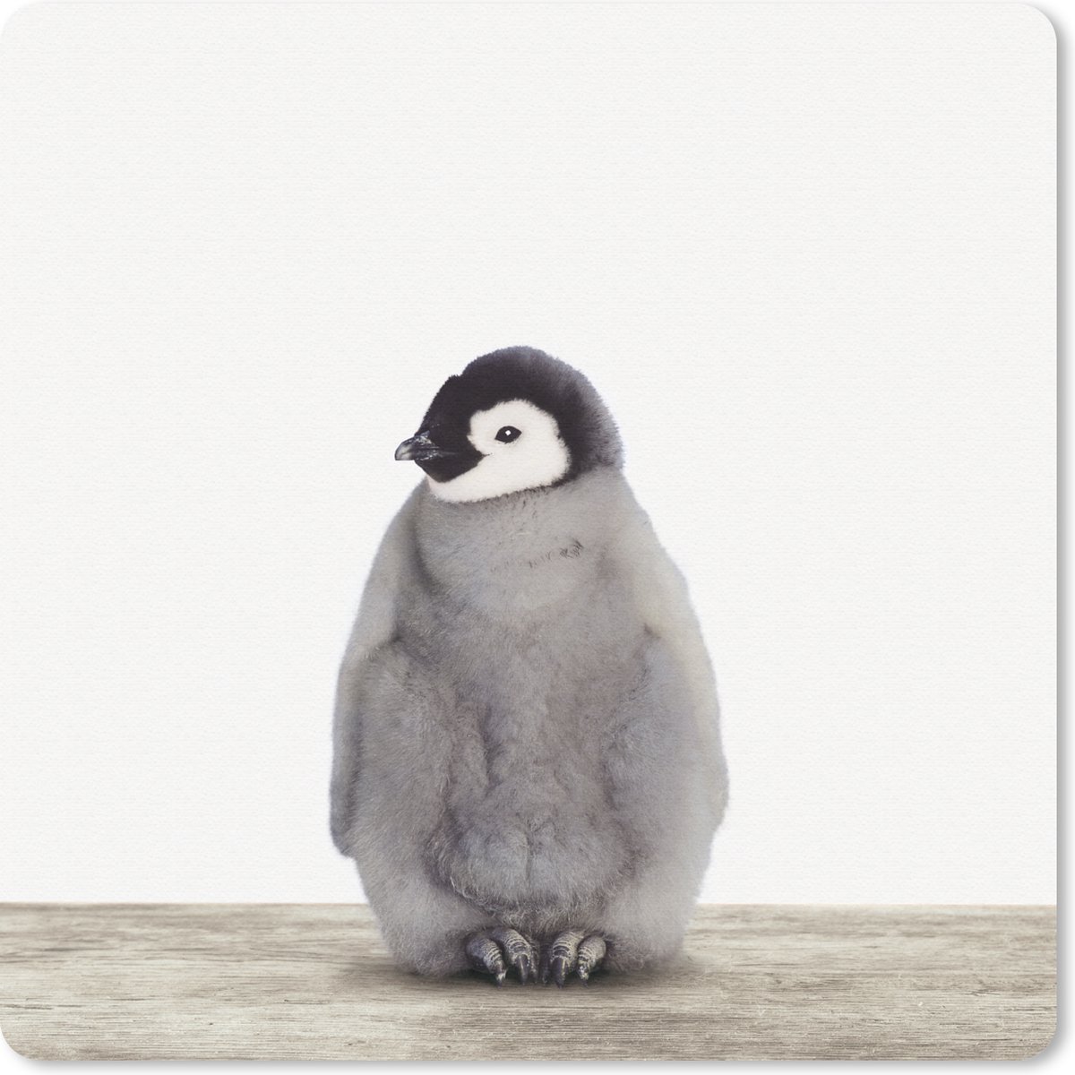 Muismat 30x30 cm - Mousepad Kinderen - Pinguïn - Grijs - Dieren - Meisjes - Jongens - Muismatten