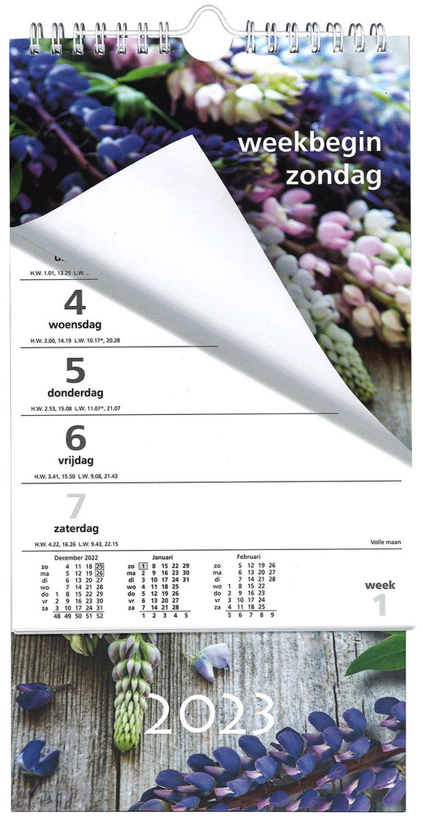 MGPcards - XL Minikalender 2023 - Week begint op Zondag - Bloemen - Paars