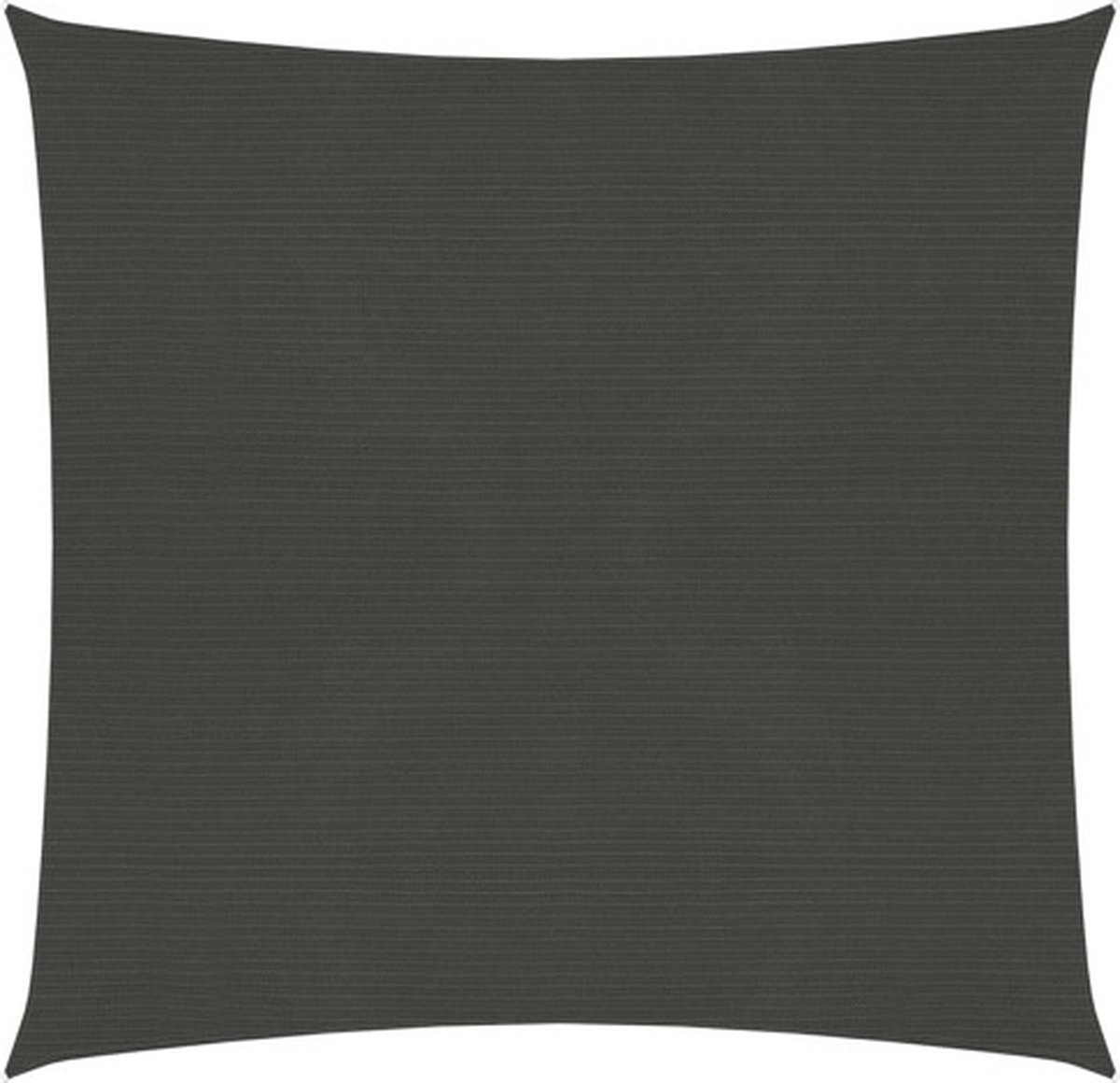 vidaXL Zonnezeil 160 g/m² 4x4 m HDPE antracietkleurig