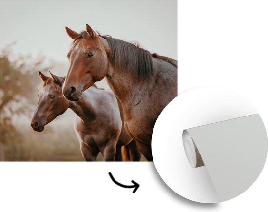 Papier Peint - Papier Papier peint photo Paarden - Nature - Marron - Largeur 240 cm x Hauteur 240 cm