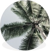 WallCircle - Wall Circle - Wall Circle Indoor - Palmier - Tropical - Été - 140x140 cm - Décoration murale - Peintures Ronds