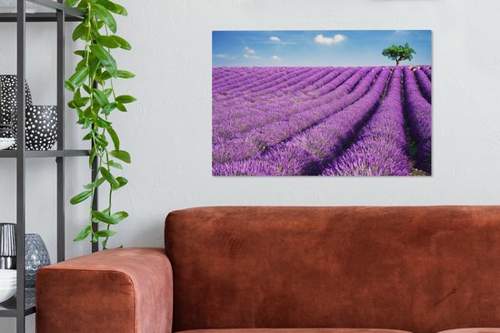 Canvas Schilderij Rollende lavendelheuvels met een boom - Wanddecoratie