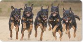 Muismat XXL - Bureau onderlegger - Bureau mat - Rennende Rottweilers op een rij - 90x45 cm - XXL muismat