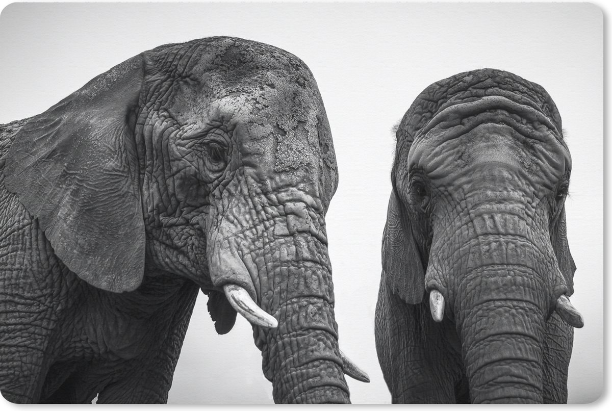 Muismat XXL - Bureau onderlegger - Bureau mat - Nieuwsgierige olifanten in zwart-wit - 90x60 cm - XXL muismat