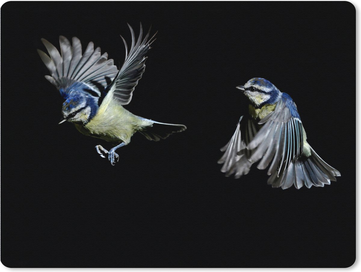 Muismat XXL 80x60 cm - Bureau onderlegger - Bureau mat Vogels - Veren - Zwart - Bureaumat - Gaming mousepad xl - Bureaulegger groot - Computer deskmat