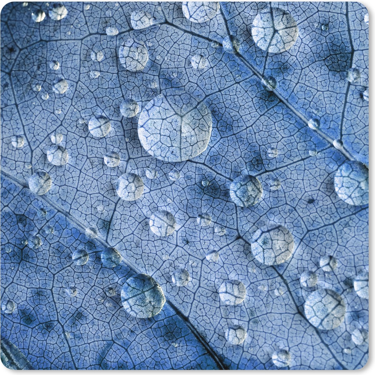 Muismat XXL 40x40 cm - Bureau onderlegger - Bureau mat Druppels op een blauw blad - Bureaumat - Gaming mousepad xl - Bureaulegger groot - Computer deskmat
